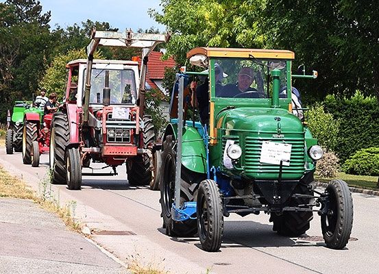 Eine Reihe von Oldtimer-Traktoren fährt auf einer Landstraße, wobei ein Mann den grünen Traktor fährt. Die Traktoren sind in verschiedenen Farben, und es gibt Bäume und Büsche auf beiden Seiten der Straße.