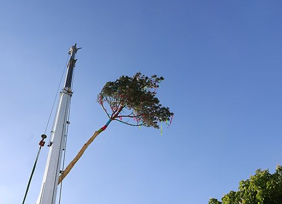 Ein Baum wird von einem Kran gegen einen klaren blauen Himmel gehoben und mit bunten Bändern geschmückt.