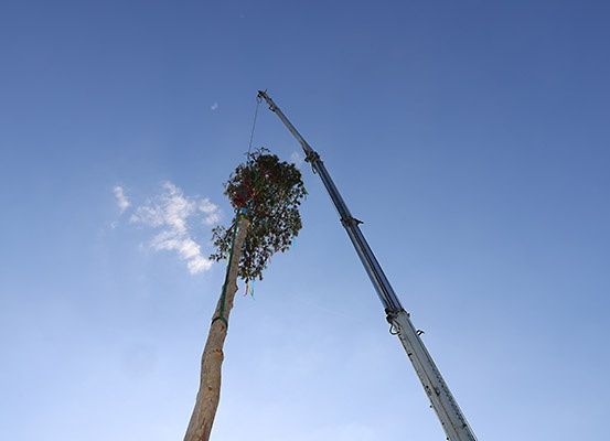 Ein Baum mit Dekorationen wird an einem klaren Tag von einem Kran gehoben.