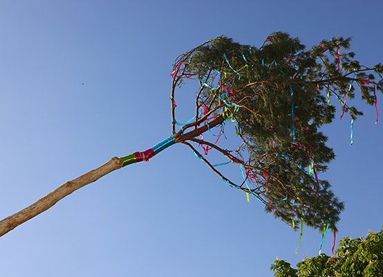 Ein mit bunten Bändern geschmückter Baumzweig, gebogen und hängend im Himmel unter einem klaren blauen Himmel.