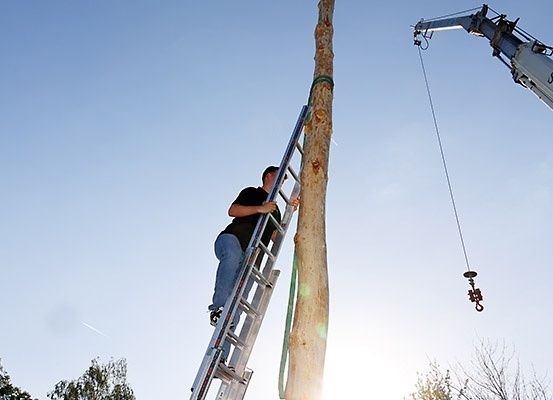 Ein Mann klettert eine Leiter zum Stamm eines Baumes hinauf, während ein Kran mit der Aufschrift 'SCHULE' im Hintergrund steht.
