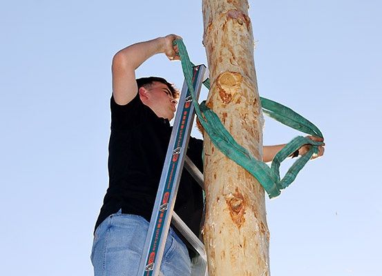 Eine Person klettert mit grünen Gurten eine Leiter hinauf und repariert etwas am Baumstamm. Der Himmel ist klar und blau.