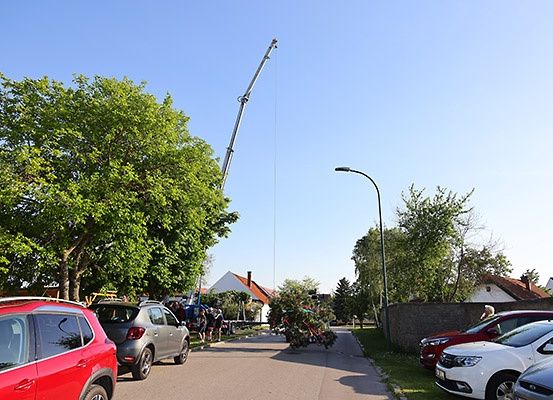 Autos sind auf beiden Seiten der Straße geparkt. Ein Kran ist vorhanden und ein umgestürzter Baum wird entfernt. Der Himmel ist klar und blau.