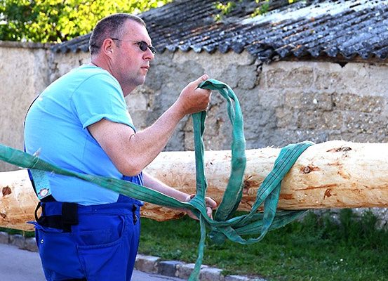 Ein Mann in einem blauen T-Shirt und blauer Latzhose sichert einen großen Baumstamm mit grünen Riemen an einem sonnigen Tag.