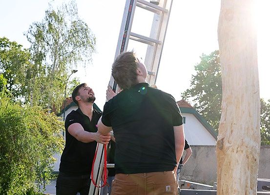 Zwei Männer stehen draußen auf einer Leiter, einer schaut nach oben, während der andere die Leiter hält. Ein Baumstamm steht neben ihnen und ein Haus mit grünem Dach dahinter. Bäume, eine Straßenlaterne und eine Mauer sind im Hintergrund.