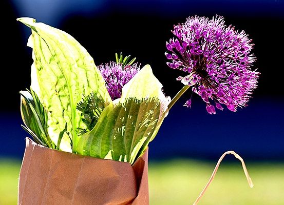 Ein Strauß aus lila Allium-Blumen und grünen Blättern in einem braunen Papierbeutel, mit verschwommenem Hintergrund.