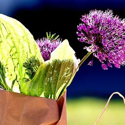 Ein Strauß aus lila Allium-Blumen und grünen Blättern in einem braunen Papierbeutel, mit verschwommenem Hintergrund.
