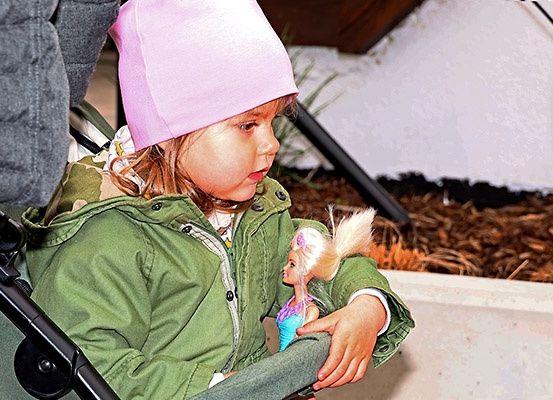 Ein kleines Mädchen in einer grünen Jacke hält eine blaue Puppe in einem Kinderwagen, mit einer rosa Mütze auf dem Kopf.
