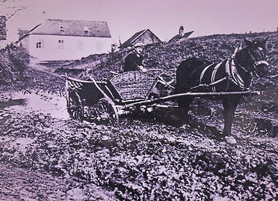 Ein Schwarz-Weiß-Foto einer Person in einem Wagen, der von einem Pferd auf einem schlammigen Weg gezogen wird.