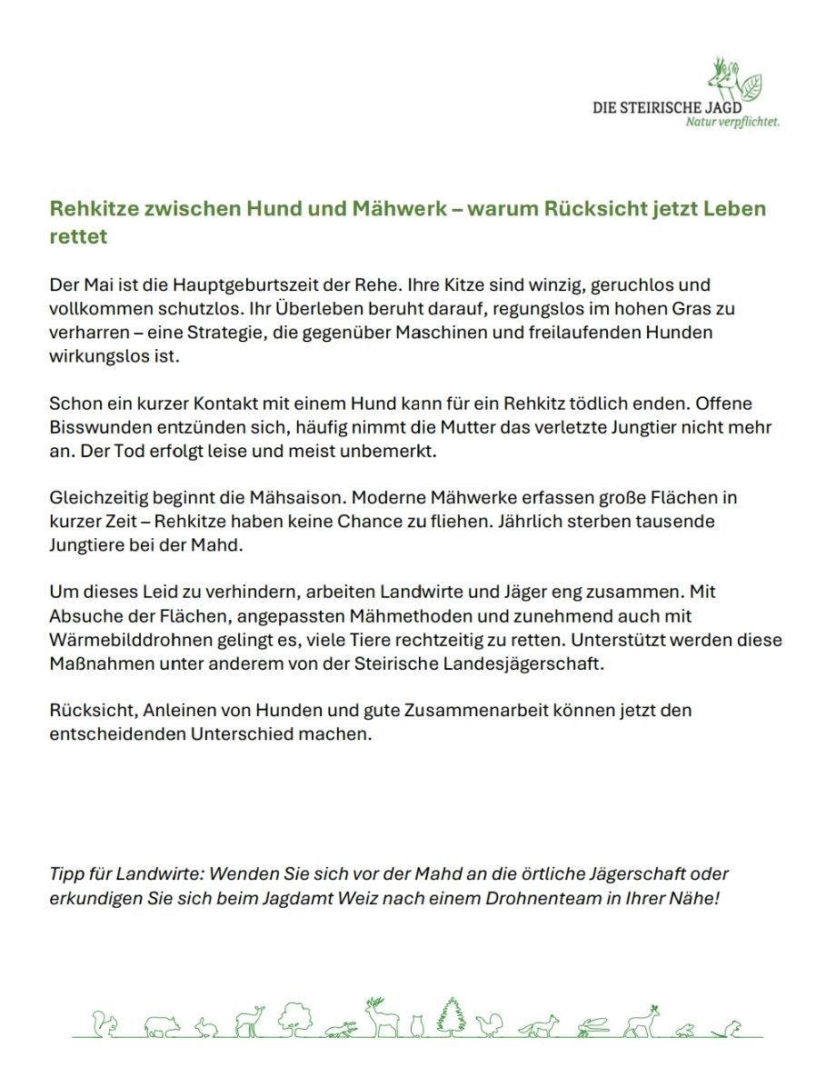Rehkitze zwischen Hund und Mähwwerk - warum Rücksicht jetzt Leben rettet. Der Mai ist die Hauptgeburtszeit der Rehe. Ihre Kitze sind wehrlos, geruchlos und vollkommen schutzlos. Ihr Überleben beruht darauf, ungesehen im hohen Gras zu verharren - eine Strategie, die gegenüber Maschinen und freilaufenden Hunden wirkungslos ist.