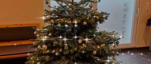 Bild enthält, Christmas, Christmas Decorations, Festival, Christmas Tree, Christmas Tree Ornaments, Plant, Tree, Chandelier, Lamp