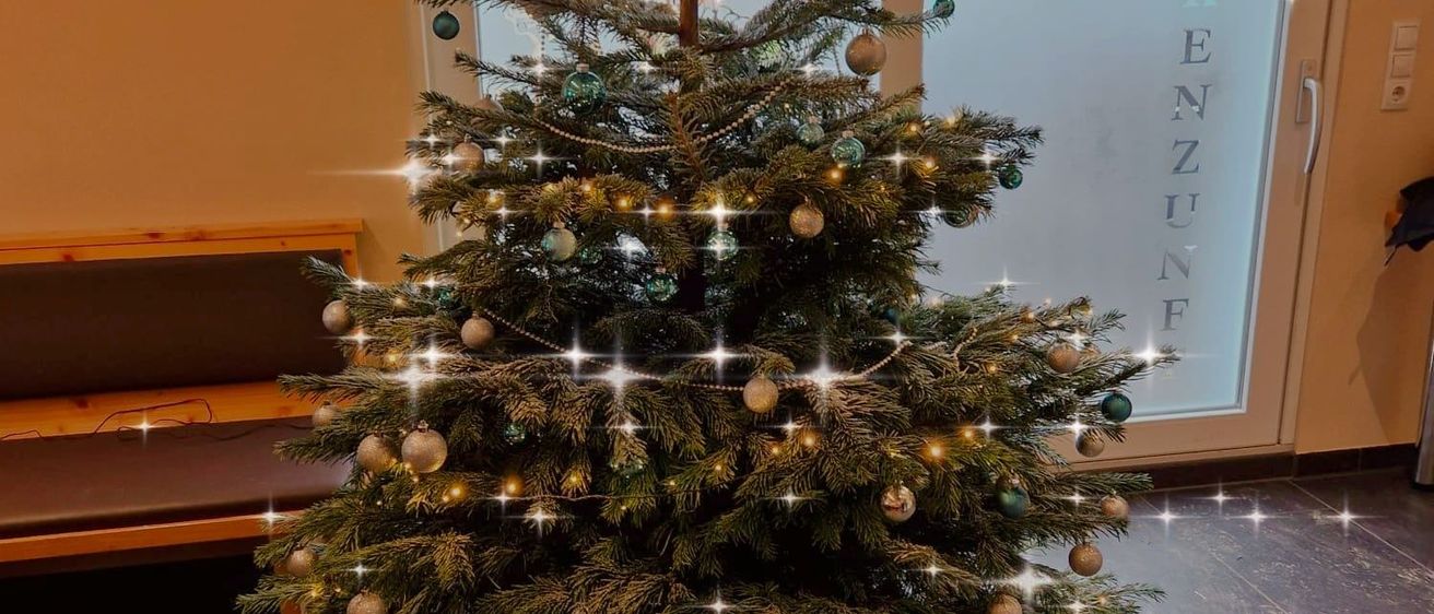 Bild enthält, Christmas, Christmas Decorations, Festival, Christmas Tree, Christmas Tree Ornaments, Plant, Tree, Chandelier, Lamp