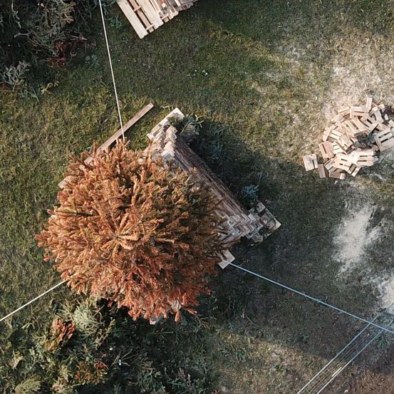 Bild enthält, Vegetation, Tree, Land, Nature, Outdoors, Woodland, Grass, Yard, Aerial View, Park