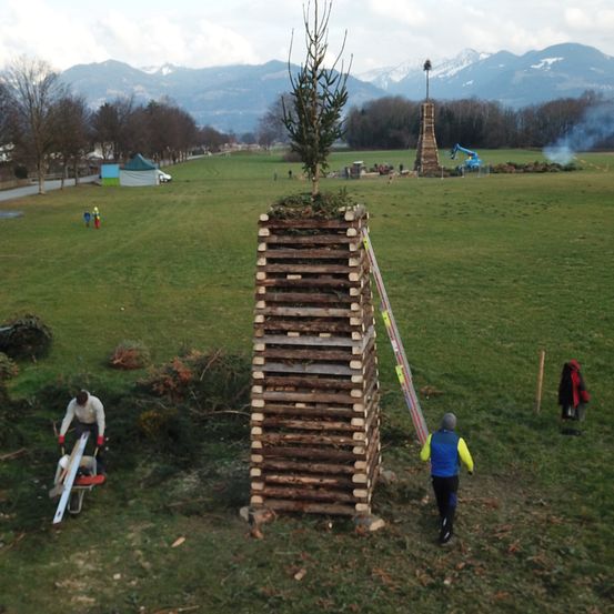 Bild enthält, Grass, Nature, Outdoors, Park, Tree, Person, Lawn, Fir, Field, Grassland