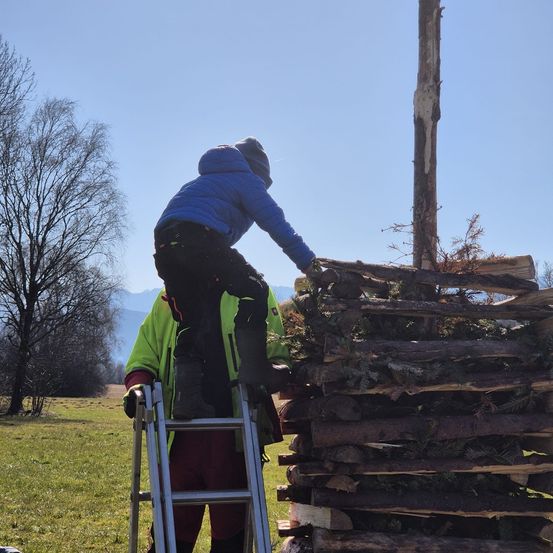 Bild enthält, Wood, Person