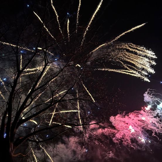 Eine nächtliche Szene mit Feuerwerk am Himmel, mit einem Baum im Vordergrund. Die Feuerwerke sind leuchtend und erhellen den dunklen Himmel mit roten, weißen und gelben Farben.