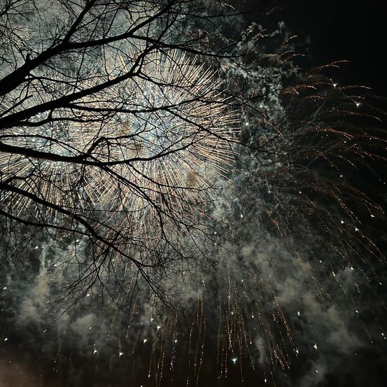 Ein leuchtender Nachthimmel, erfüllt von Feuerwerk, zeigt eine farbenfrohe Darstellung mit Ästen eines Baumes im Vordergrund.