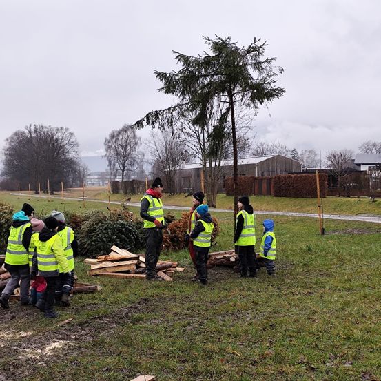 Eine Gruppe von Kindern und Erwachsenen in Sicherheitswesten steht neben einem Holzstapel. In der Mitte der Gruppe befindet sich ein Baum.