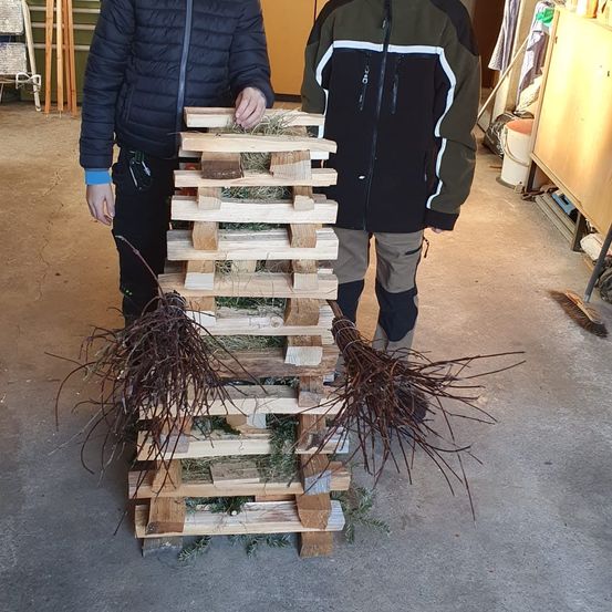 Zwei Personen stehen neben einer Holzkonstruktion, wahrscheinlich einem Palette, die mit Gras und Zweigen gestapelt ist. Eine Person hält die Konstruktion. Der Raum hat Holzschränke und einen Besen.