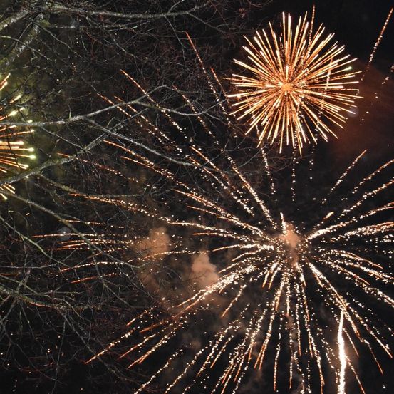 Feuerwerke explodieren in der Nacht am Himmel und werfen goldene und weiße Funken gegen den dunklen Hintergrund. Die kahlen und silbrigen Bäume rahmen das Spektakel ein.