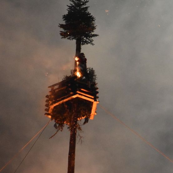 Eine Person steht auf einer hölzernen Plattform, die an einem hohen Baum befestigt ist, mit einem Feuer darunter, vor einem bewölkten Himmel.