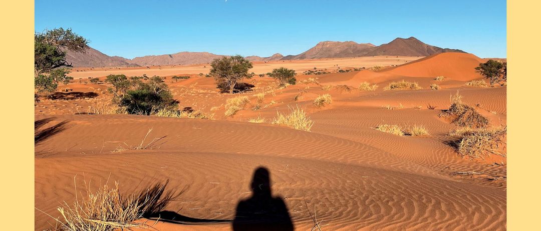 Plakat für eine Lesung von Margit Nohrer mit dem Titel 'Der glühende Atem der Wüste'. Zeigt eine Wüstenlandschaft mit der Silhouette einer Person. Geplant für Donnerstag, 20. November 2025, um 19:00 Uhr. QR-Code für Veranstaltungsdetails vorhanden.