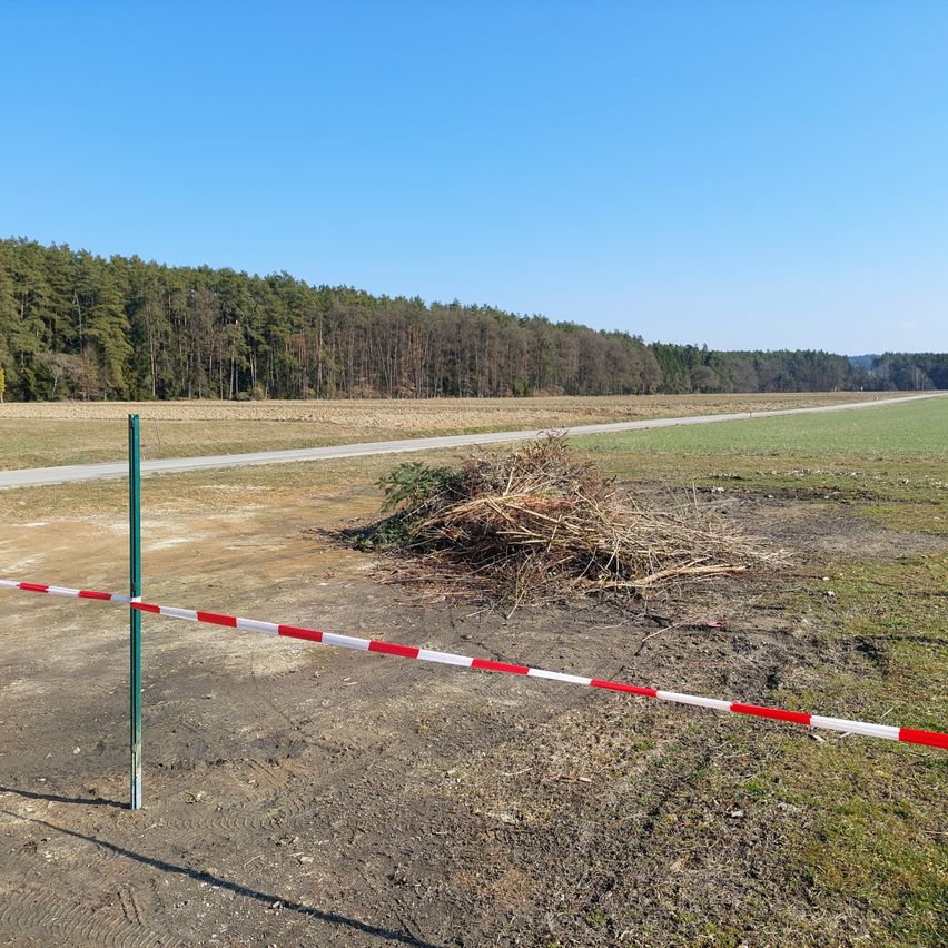 Ein weites Feld mit einem Wald im Hintergrund, eine rot-weiß gestreifte Barriere und ein Haufen abgeschnittener Äste.