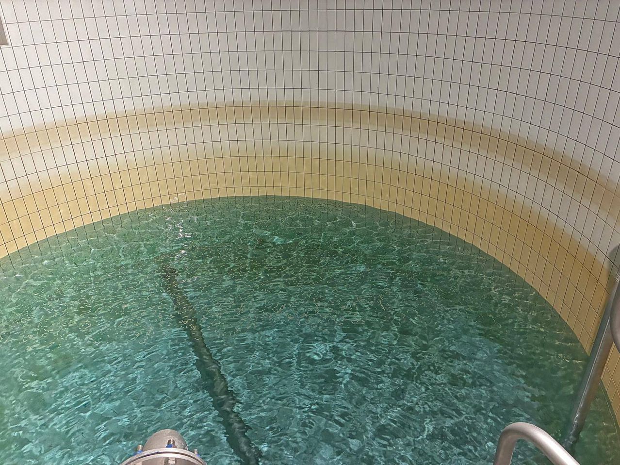 Ein runder Behälter mit grünem Wasser und gefliesten Wänden. Das Wasser ist klar und sauber.