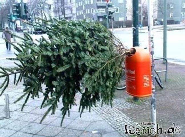 Ein großer Weihnachtsbaum hängt an einem Pfosten auf dem Bürgersteig. Ein orangefarbener Gastank ist am Pfosten befestigt. Eine Person geht auf der Straße im Hintergrund.