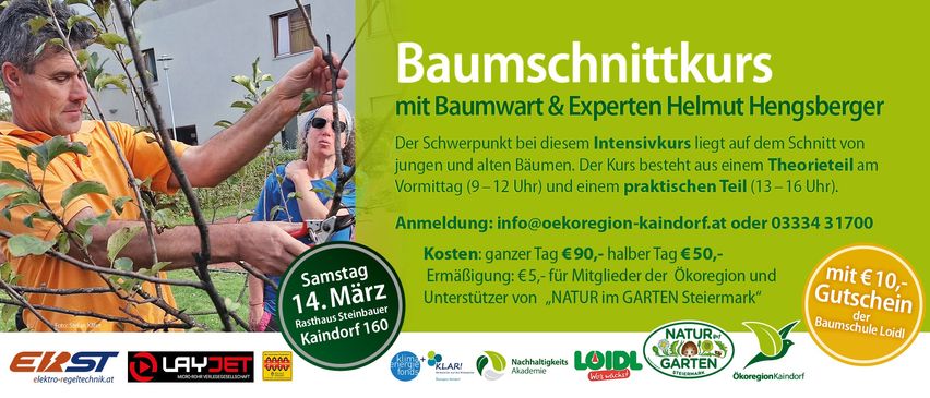 Eine Anzeige für einen Baumpflegeworkshop mit einem Baumwart und Experten. Der Workshop findet an einem Samstagvormittag statt und beinhaltet praktische Einheiten. Die Anmeldung erfolgt per E-Mail. Der ganze Tag kostet 90 Euro, mit einem 5 Euro Rabatt für Mitglieder von 'NATUR im GARTE'.