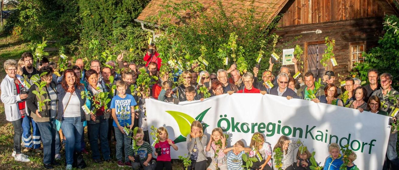 v1_migrated_image_7876198