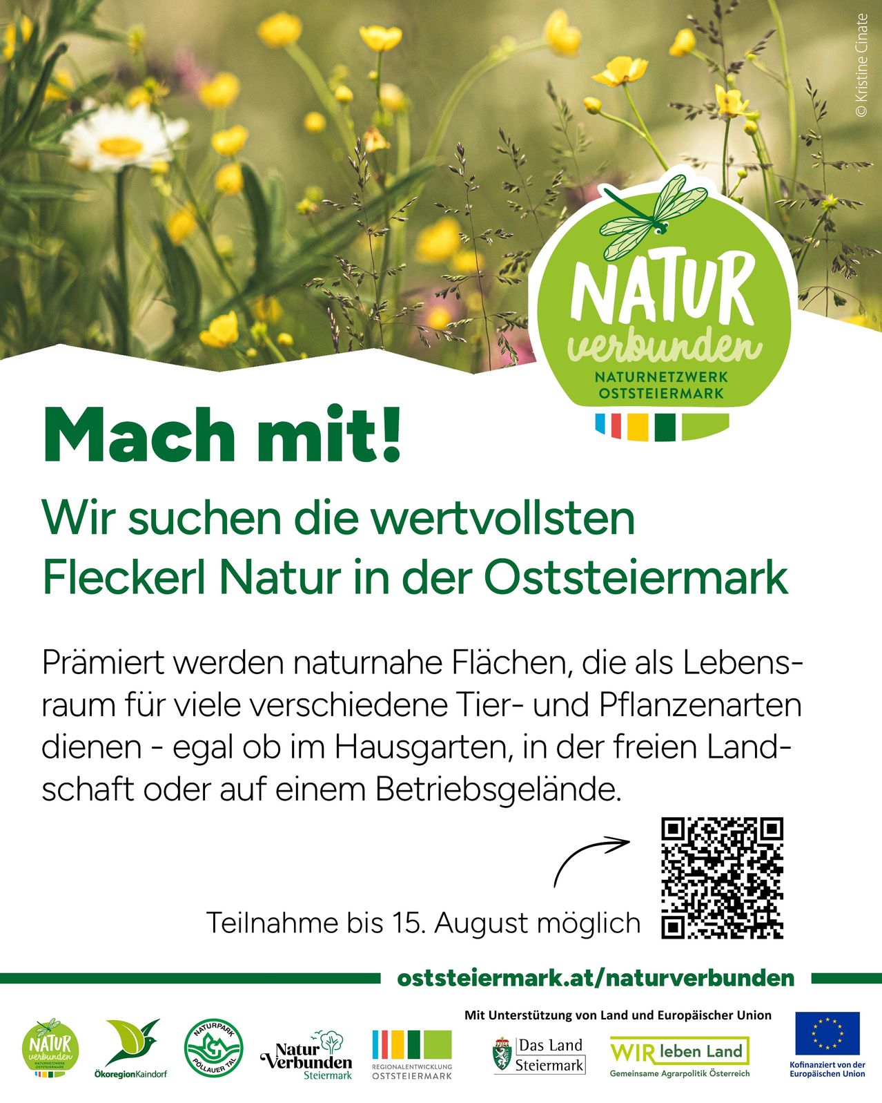 Werbeposter für die Teilnahme an einer Naturschutzinitiative in Österreich. Es zeigt ein grünes Logo mit einer Libelle und dem Text 'Mach mit!', was 'Mach mit!' bedeutet. Der Plakat weist auf die Bedeutung natürlicher Lebensräume für verschiedene Tier- und Pflanzenarten hin. Es enthält einen QR-Code für weitere Informationen und erwähnt die Teilnahmefrist.