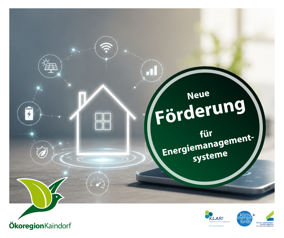 Eine Anzeige für neue Förderungen für Energiemanagementsysteme. Das Bild zeigt ein Haus mit umliegenden Symbolen wie Batterie, Solarpanels und WLAN-Symbol. Die Anzeige ist grün mit weißen Texten.