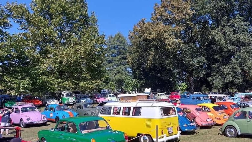 v1_migrated_image_24693992