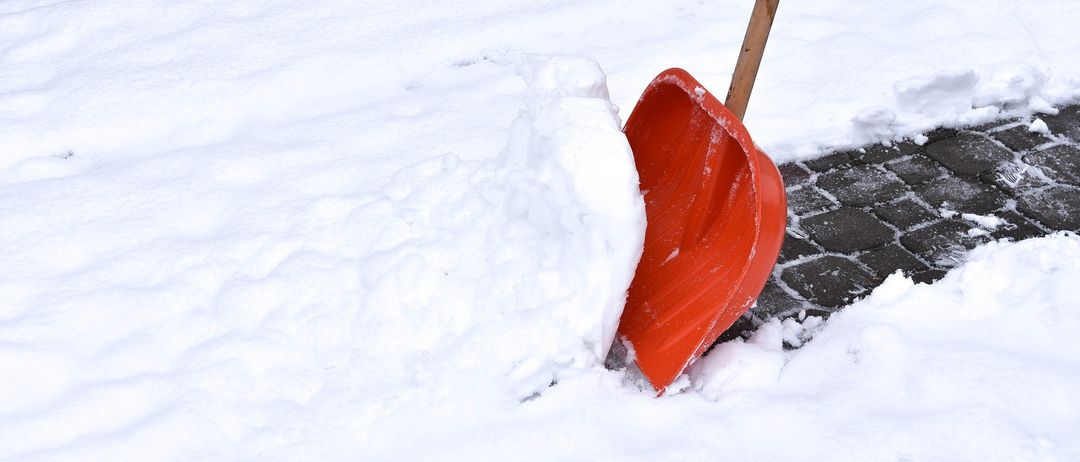 Bild enthält, Device, Shovel, Tool