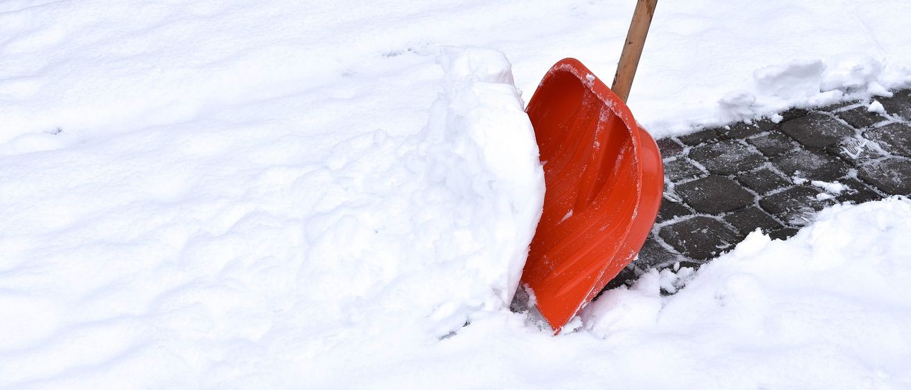 Bild enthält, Device, Shovel, Tool