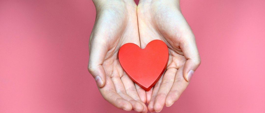 Zwei Hände halten ein rotes herzförmiges Objekt vor einem rosa Hintergrund. Die Hände sind leicht gebogen und das Herz ist prominent zentriert.