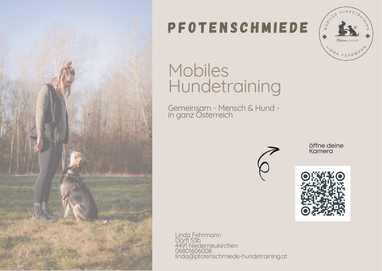 Ein Bild im Freien zeigt eine Frau, die ihren Hund trainiert. Der Text lautet 'Mobiles Hundetraining'. Kontaktdaten enthalten eine Telefonnummer und eine E-Mail-Adresse. Ein QR-Code ist vorhanden.