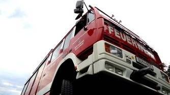 v1_migrated_image_5088558