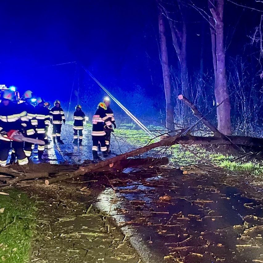 Eine Gruppe von Feuerwehrleuten in Uniform steht bei einer umgestürzten Kiefer an einer Straße in der Nacht. Sie sind von blauen Lichtern beleuchtet.