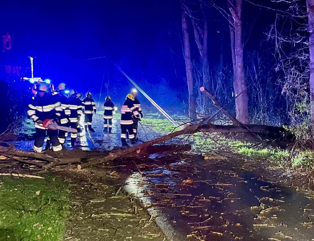 Eine Gruppe von Feuerwehrleuten in Uniform steht bei einer umgestürzten Kiefer an einer Straße in der Nacht. Sie sind von blauen Lichtern beleuchtet.