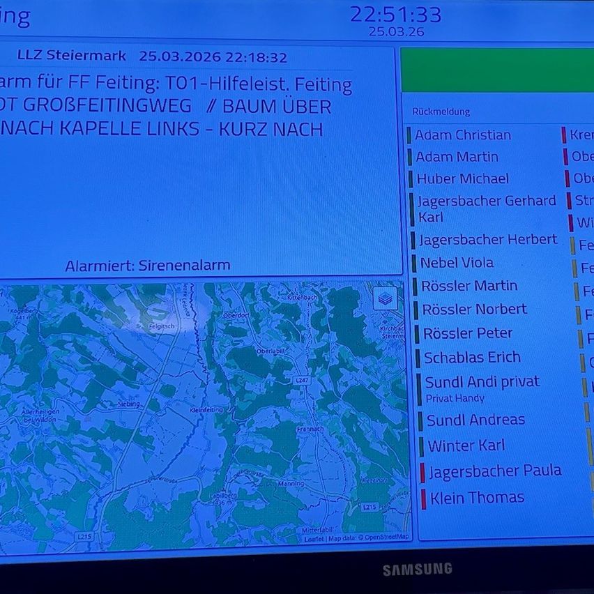 Ein Notruf für FF Feiting bei T01-Hilfeleiste. Ein Baum ist auf die Straße gefallen. Mehrere Personen stehen für die Rettung zur Verfügung.