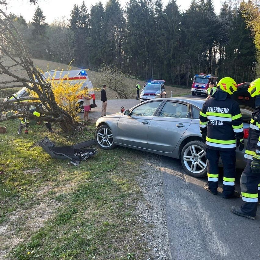 Rettungsdienste bei einem Unfall am Straßenrand. Ein graues Auto ist beschädigt, und Feuerwehrleute sind anwesend. Ein Baum liegt auf dem Gras.