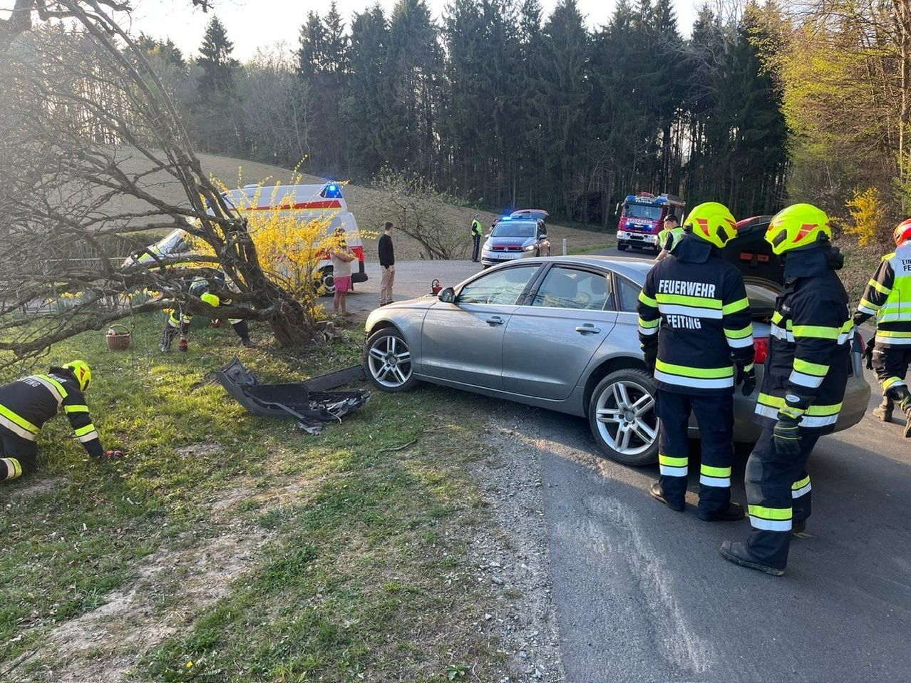 Rettungsdienste bei einem Unfall am Straßenrand. Ein graues Auto ist beschädigt, und Feuerwehrleute sind anwesend. Ein Baum liegt auf dem Gras.