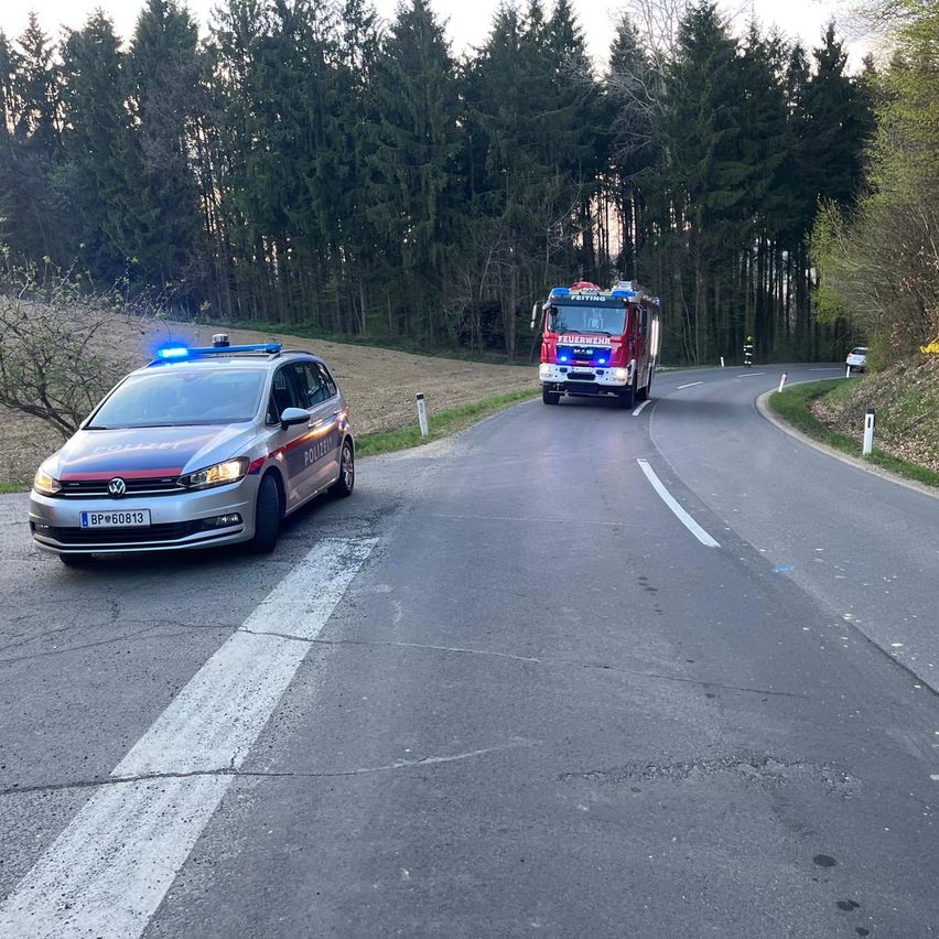 Ein Polizeiauto ist am Straßenrand geparkt. Ein Feuerwehrauto fährt auf der Straße, und ein weißes Auto befindet sich auf der rechten Straßenseite.