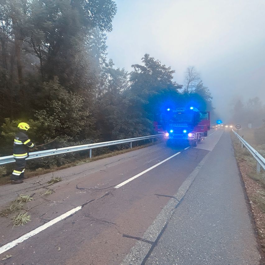 Ein Feuerwehrmann in voller Ausrüstung steht neben einer Straße, mit einem Feuerwehrwagen mit blauen Lichtern in der Nähe. Die Straße ist von Bäumen umgeben und hat eine Schutzplanke an der Seite.