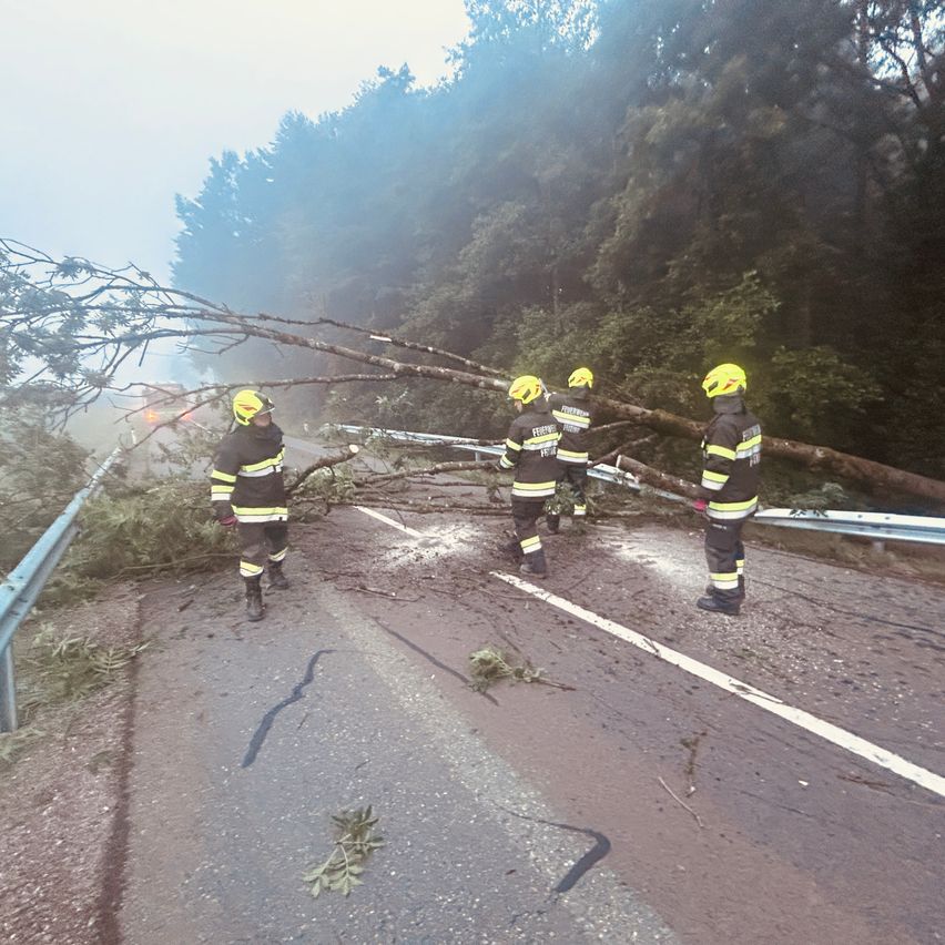 Fünf Feuerwehrleute in gelben Helmen und schwarzen Uniformen räumen einen umgestürzten Baum von einer Straße. Die Straße hat weiße Markierungen und eine Metallbarriere an der Seite.