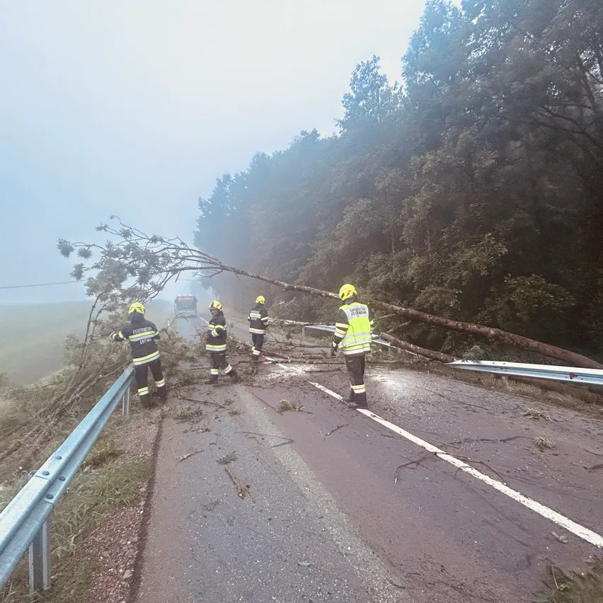 Fünf Feuerwehrleute in gelben Uniformen räumen einen umgestürzten Baum von der Straße, mit einem Fahrzeug im Hintergrund.
