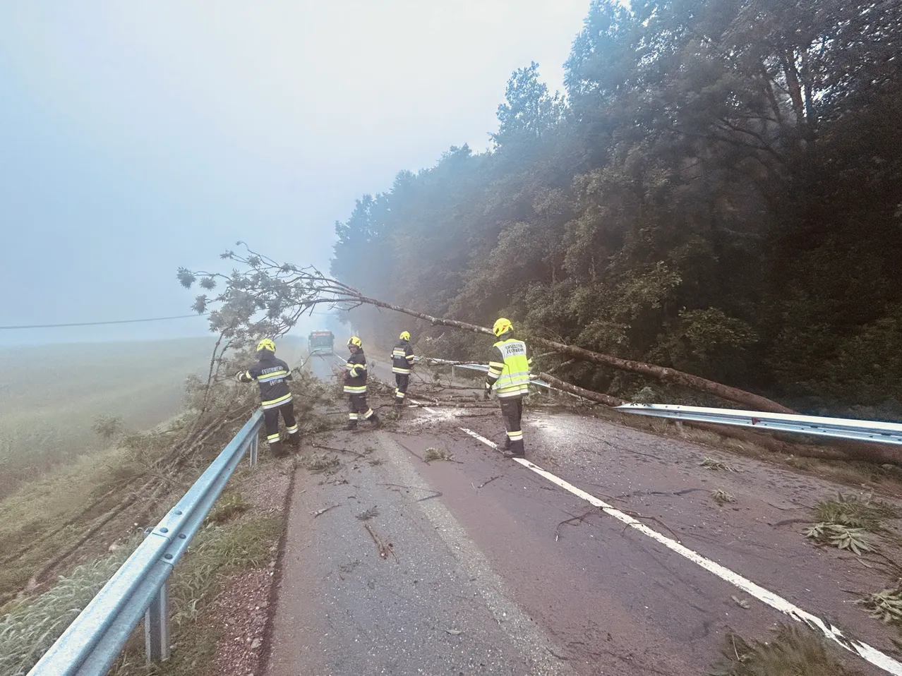 Fünf Feuerwehrleute in gelben Uniformen räumen einen umgestürzten Baum von der Straße, mit einem Fahrzeug im Hintergrund.