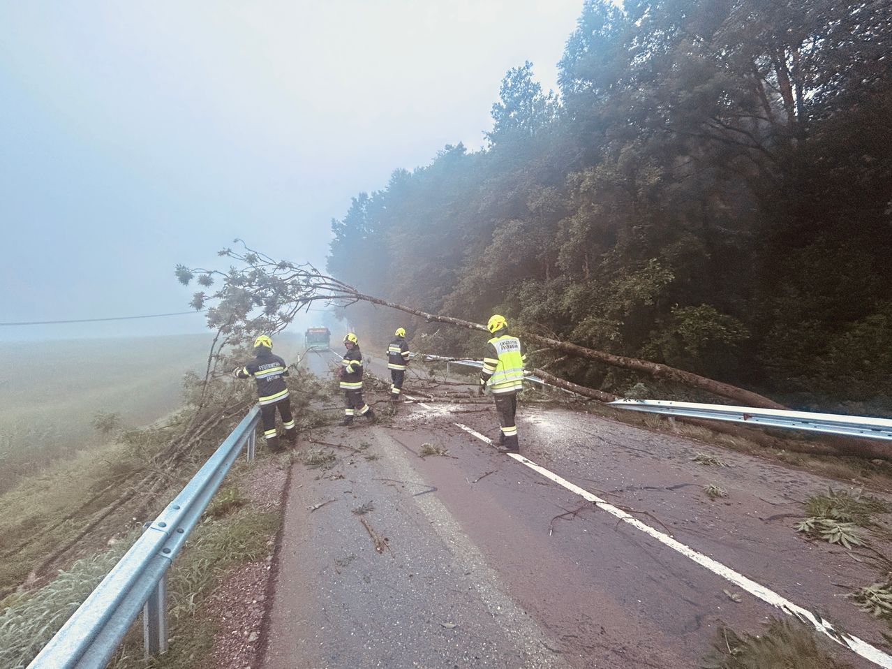 Fünf Feuerwehrleute in gelben Uniformen räumen einen umgestürzten Baum von der Straße, mit einem Fahrzeug im Hintergrund.